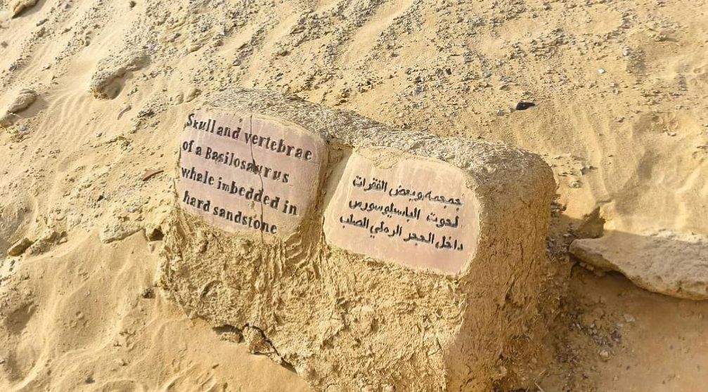 2 Day Camping Trip in Fayoum from Cairo